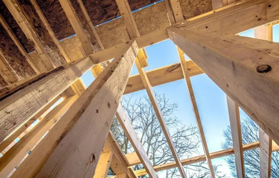 High timber prices may be the normal in the near fu