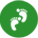 发展历程